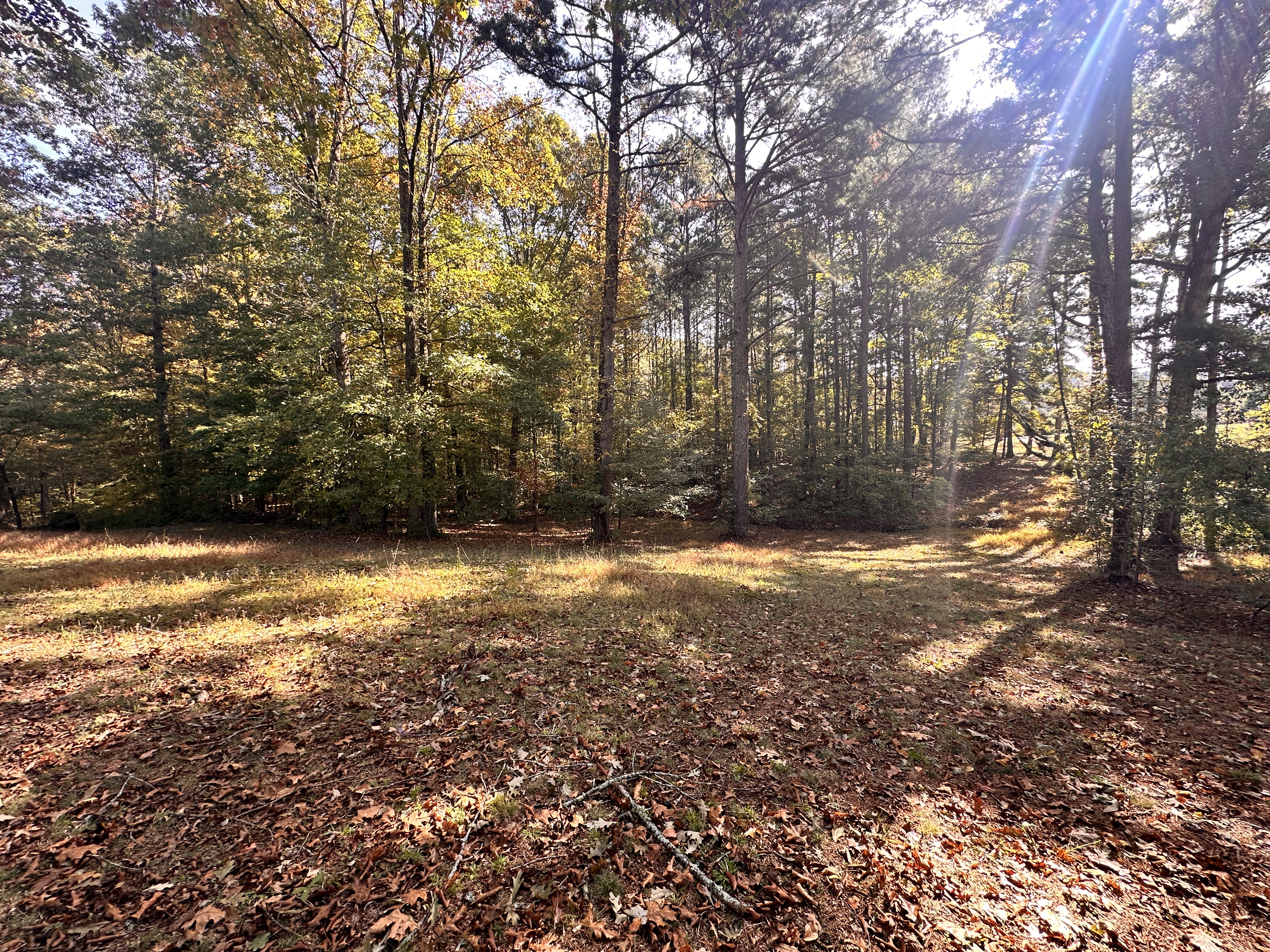 24.43 Acres with Home, Cabin and Pond in Decatur, TN — photo