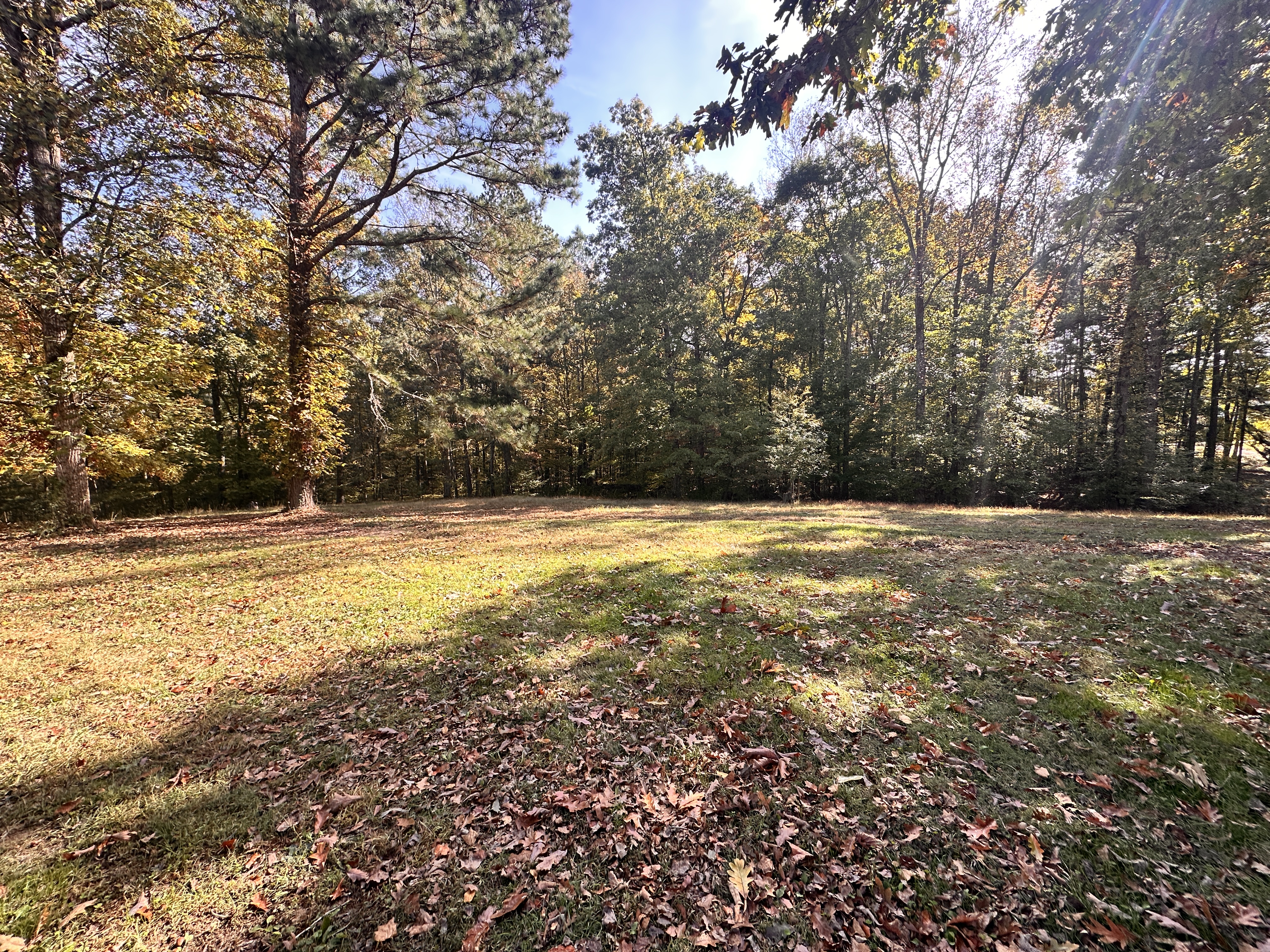 24.43 Acres with Home, Cabin and Pond in Decatur, TN — photo