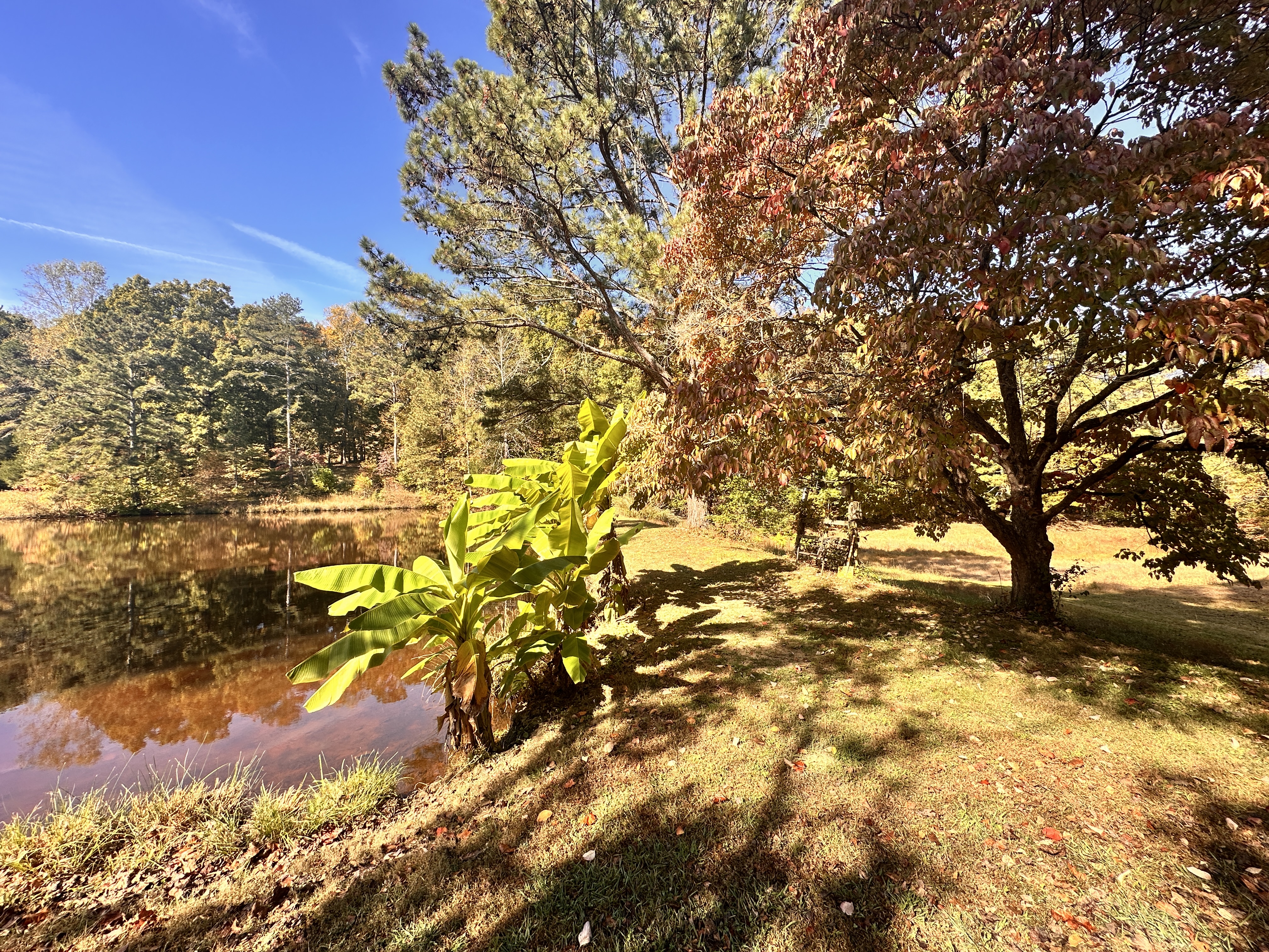 24.43 Acres with Home, Cabin and Pond in Decatur, TN — photo