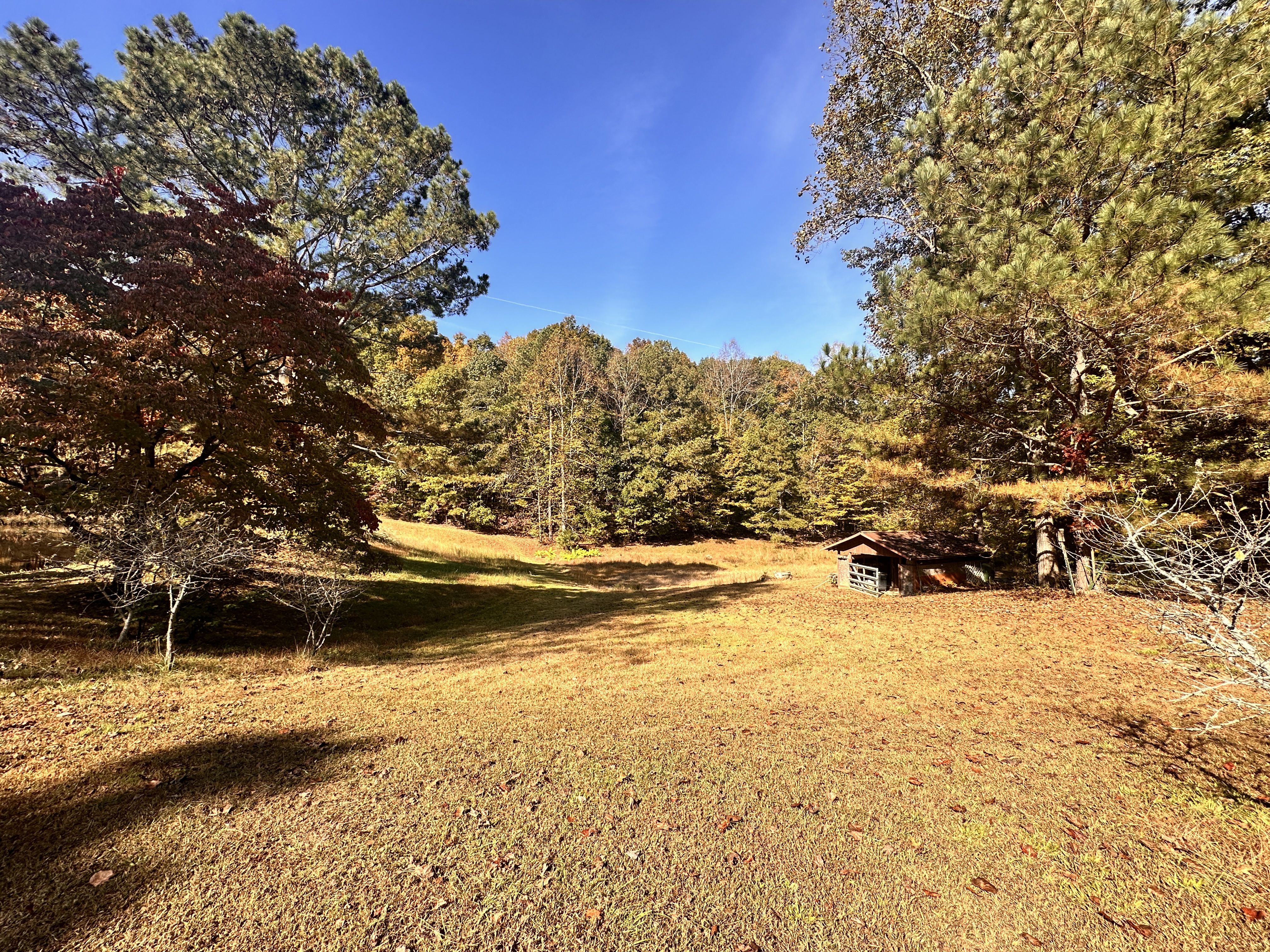 24.43 Acres with Home, Cabin and Pond in Decatur, TN — photo
