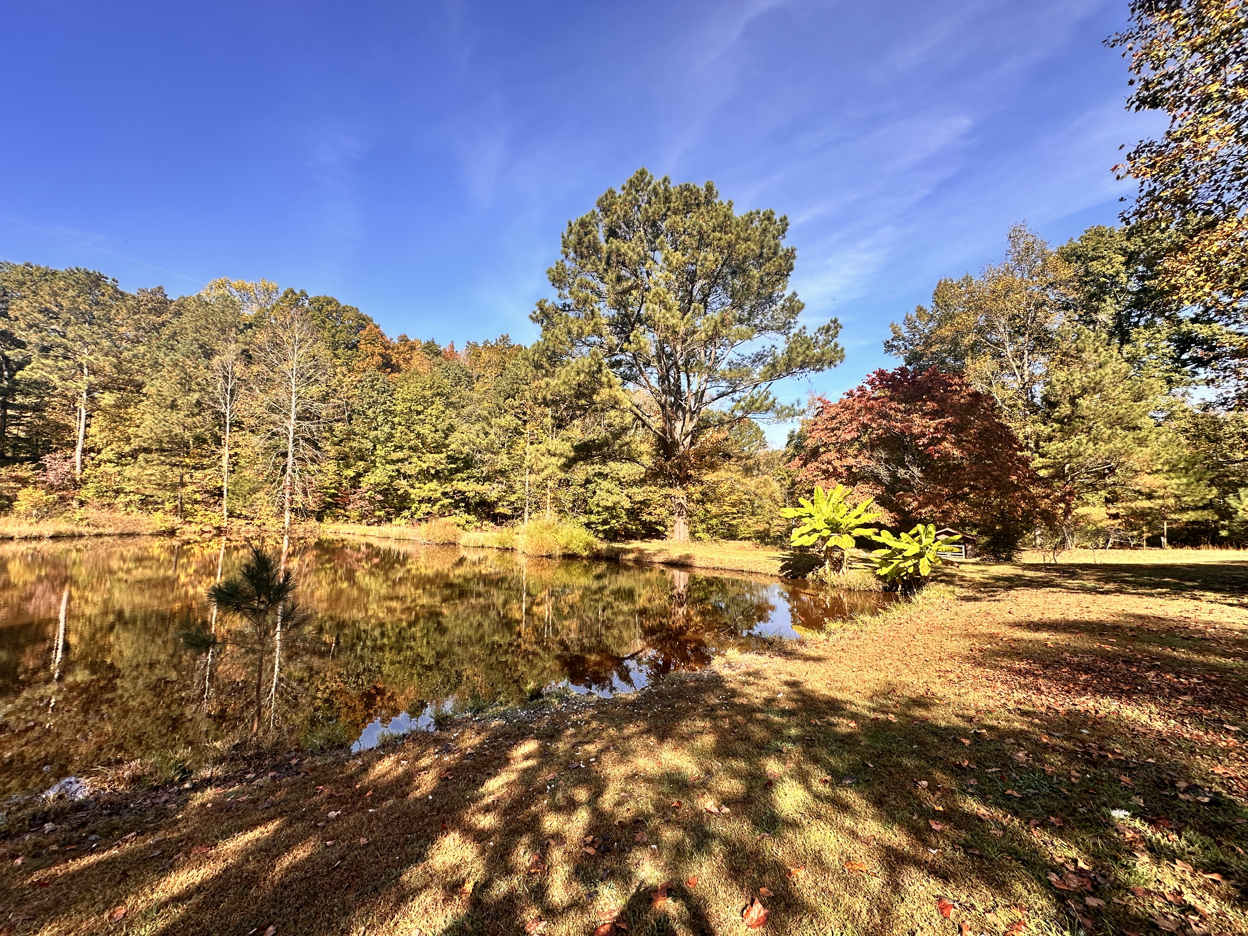 24.43 Acres with Home, Cabin and Pond in Decatur, TN — photo